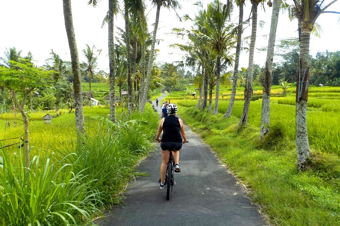 Half-Day Ubud Electric Cycling Tour to Tirta Empul Water Temple - Tour Overview and Highlights