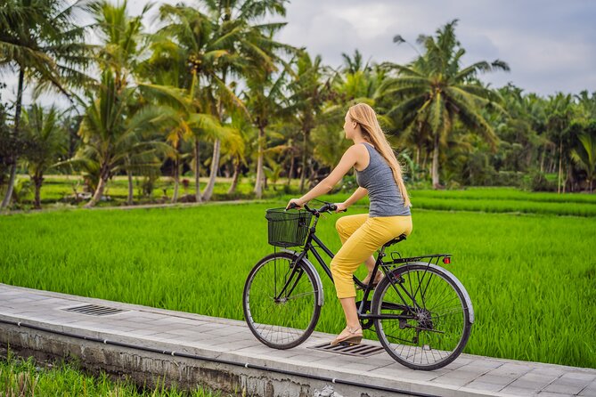 Half-Day Ubud Rice Field and Village Cycling Tour - Tour Pricing and Booking Details