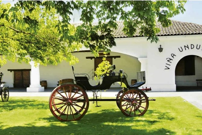 Half-Day Vineyard Tour: Wine Tasting Adventure - Tour Highlights