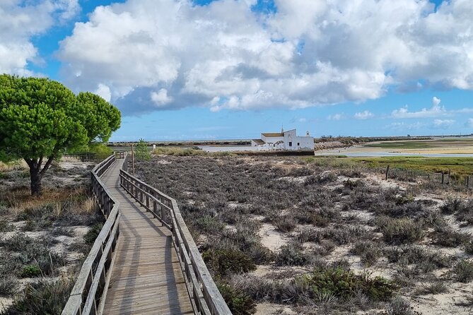 Half Day Walking Tour in Ria Formosa Nature Park - Tour Duration and Inclusions