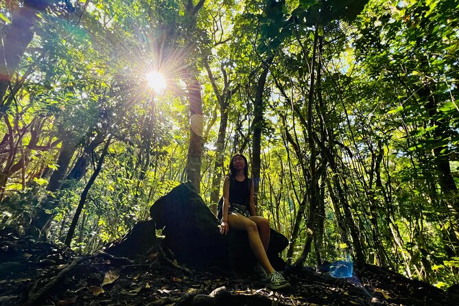 Half-Day Waterfall Tour - Hike, Scenic, Food and Photo - Tour Details