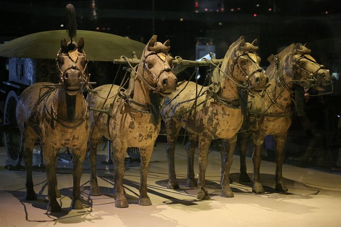 Half-Day Xian Tour to Terracotta Warriors Museum - Cancellation Policy
