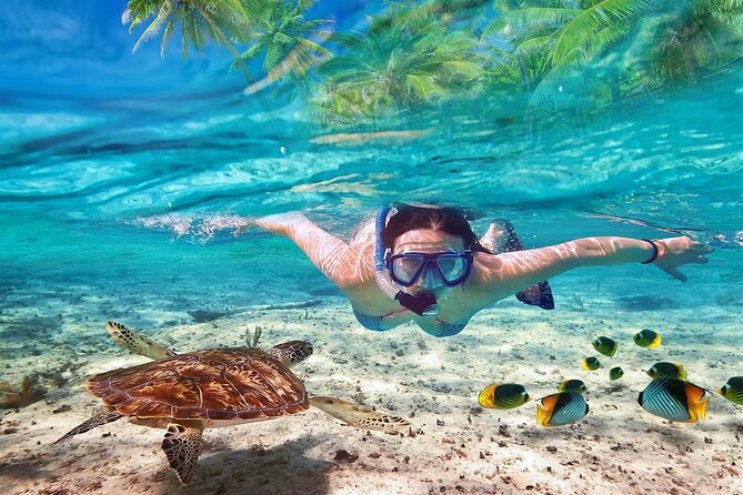 Hamata Island Snorkeling Tour From Marsa Alam - Tour Overview