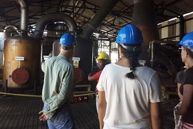 Hampden Estate Rum Tour and Lunch From Ocho Rios - Tour Highlights