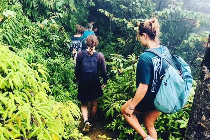 Happy Tours: Conquer Ometepe's Volcano Maderas - Pricing and Booking Details
