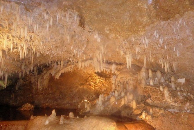 Harrisons Cave Tour From Bridgetown - Overview and Tour Details