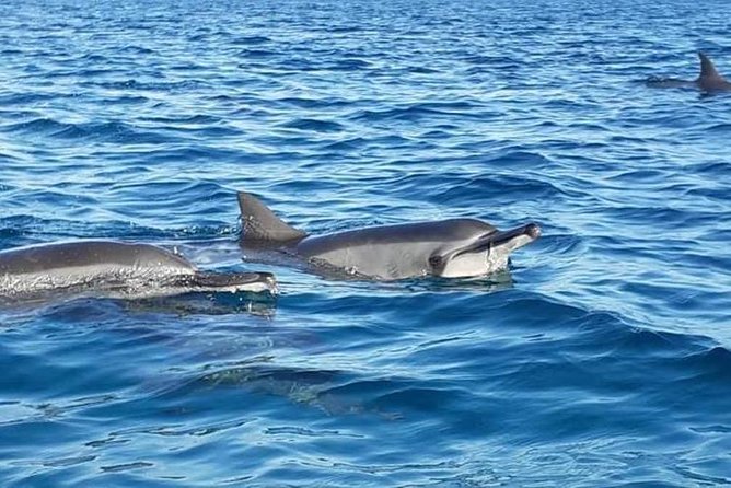 Hawaiian Canoe in Fernando De Noronha - Activity Details