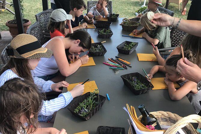 Herbal Laboratory for Children - Benefits of Herbal Learning