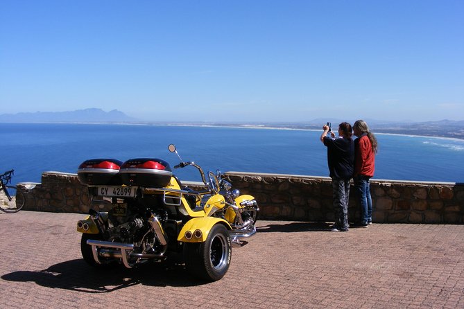 Hermanus and Whale Route Trike Tour From Cape Town - Tour Details