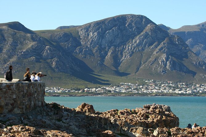 Hermanus Land Based Whale Walking Tour With Dave De Beer - Overview and Tour Details