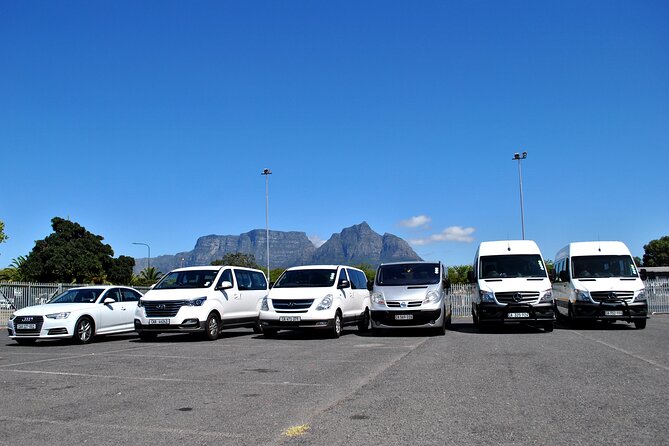 Hermanus Whales and Wine Full Day Private Tour - Itinerary Overview