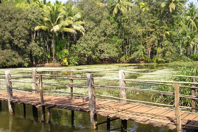 Highlights of South Goa With Spice Plantation Tour (Guided Fullday Tour by Car) - Tour Itinerary
