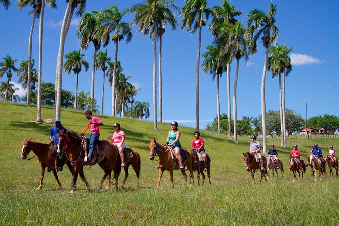 Higuey City Tour Half Day Cultural Experience From Punta Cana - Tour Highlights
