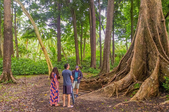 Hike to Elephant Beach Exploring Tropical Flora and Fauna - Destination Overview