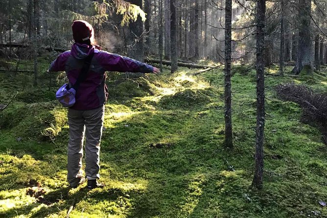 Hiking Experience in a National Park With Backpacker Helsinki Tour - Good To Know