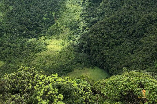 Hiking in Mount Liamuiga (Volcano) - Pricing and Booking