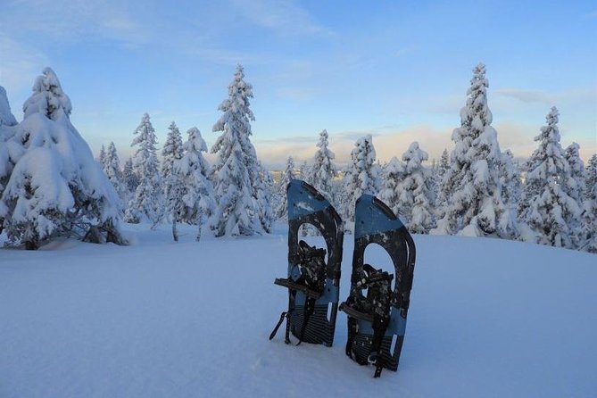Hiking on Snowshoes - Choosing the Right Snowshoes