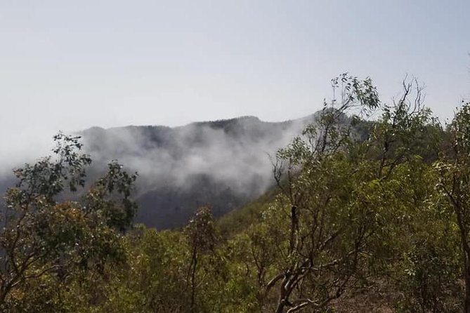 Hiking Serra Malagueta Natural Park - Park Overview