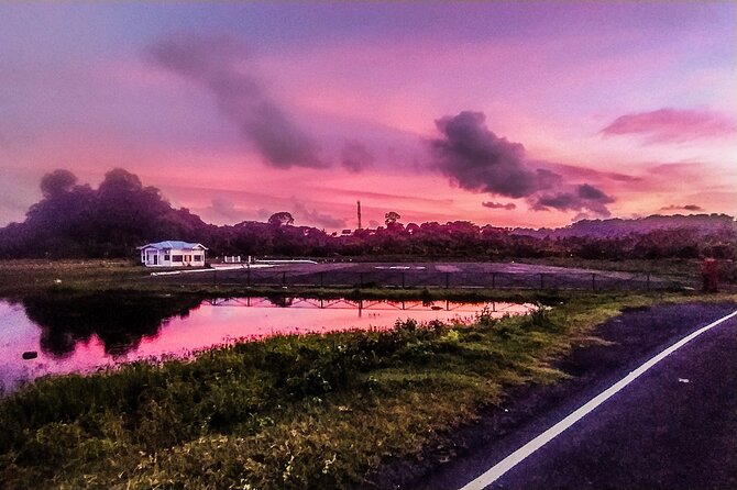 Hinterland Cycling Tour, Havelock - Tour Highlights