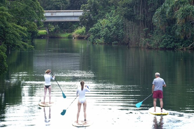 Historic Haleiwa Rainbow Bridge Stand Up Paddle (Anahulu River) - Activity Overview