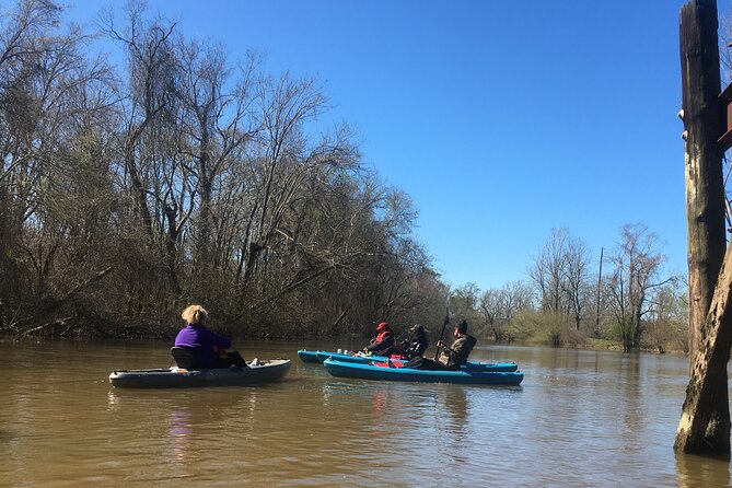 Historical Scenic Water Trail Kayak Tour of St. Tammany Parish - Tour Highlights
