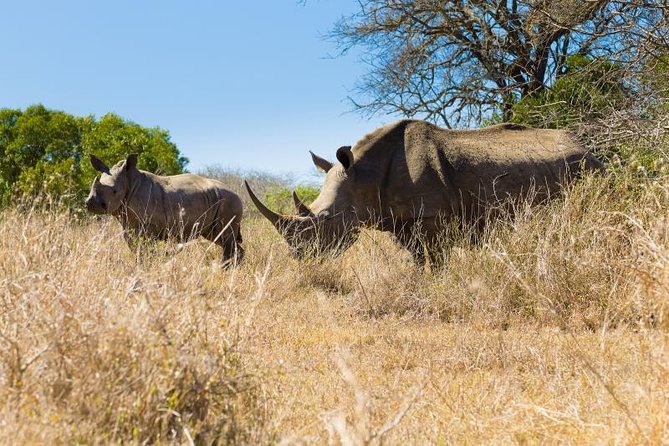 Hluhluwe Umfolozi Park Day Trip From Durban - Park Overview