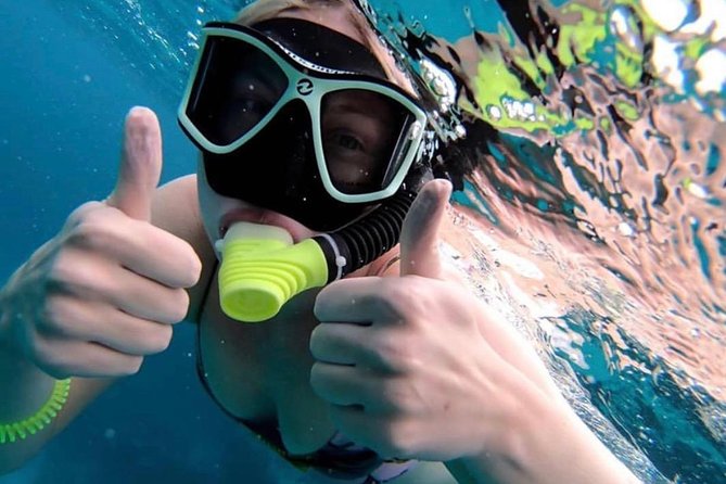 Hol Chan Full-Day Bucket List Snorkeling and Marine Life Tour - Tour Highlights and Overview