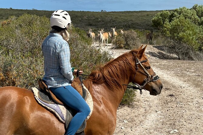 Horse Back Safari on the West Coast - Additional Details and Recommendations