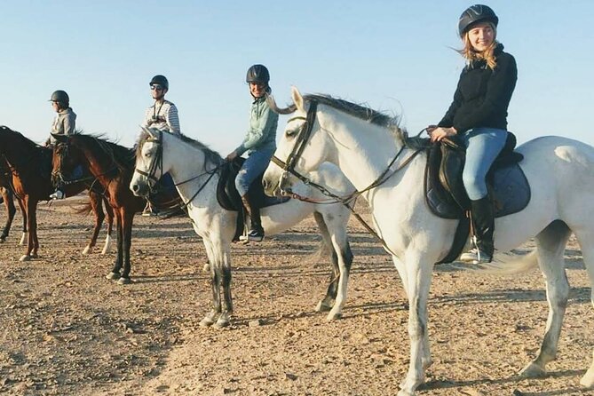 Horse Riding 1-Hour Adventure Trip With Transfer - Hurghada - Trip Overview