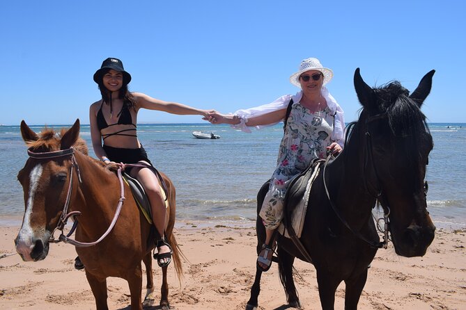 Horse Riding 3 Hours Beach, Desert, & Swimming by Horse in Red Sea - Hurghada - Horse Riding in the Desert