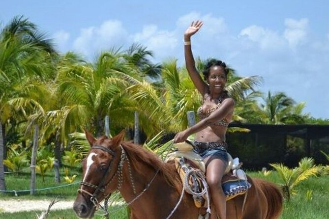 Horse Riding Activity in Miami - Types of Horse Riding Activities