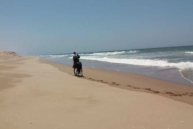 Horse Riding in Agadir National Park - Meeting and Pickup Details