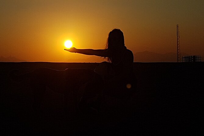Horse Riding Tour 2 Hours Sea and Desert With Transfer - Hurghada - Tour Details