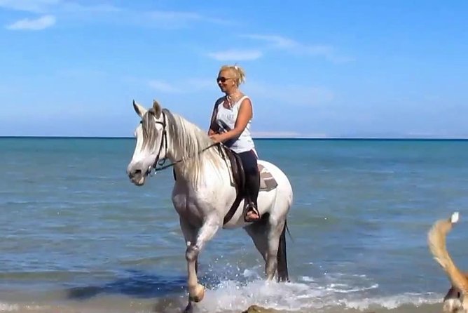 Horse Riding Tour Two Hours Sun & Sea With Transfer - Hurghada - Pricing and Booking Details