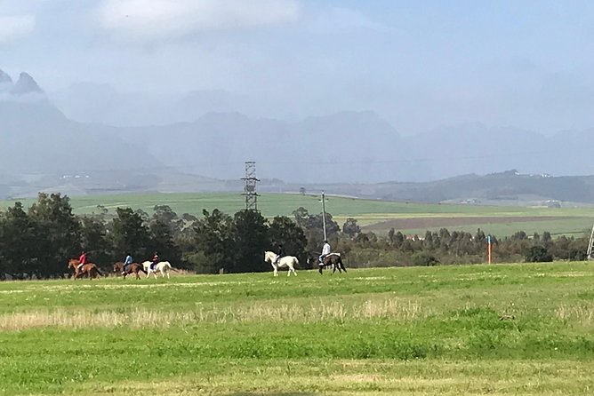 Horse Riding & WIne Tasting - Pricing and Guarantee