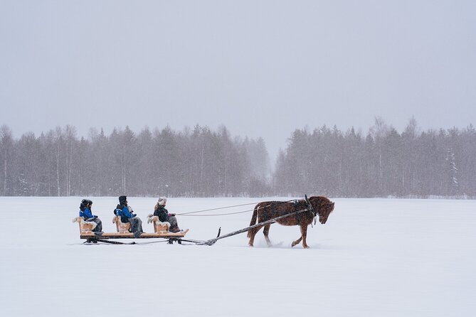 Horse Sleigh Ride in the Arctic, Apukka Resort Rovaniemi - Booking Confirmation and Requirements