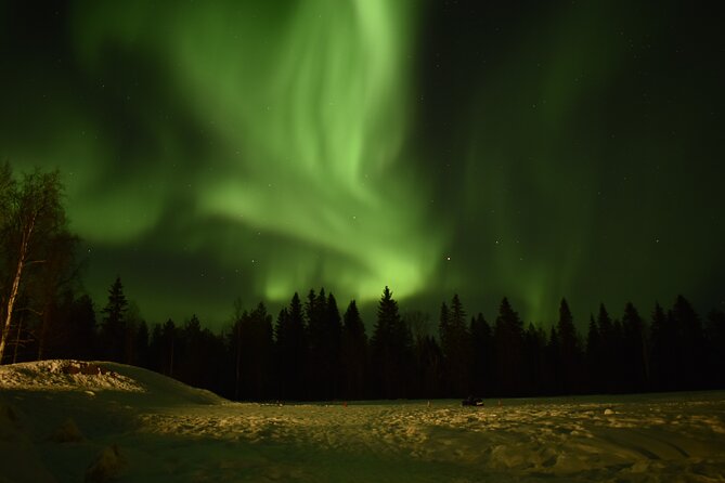 Horse Sleigh Ride Under The Night Sky in Apukka Resort, Rovaniemi - Overview and Activity Details