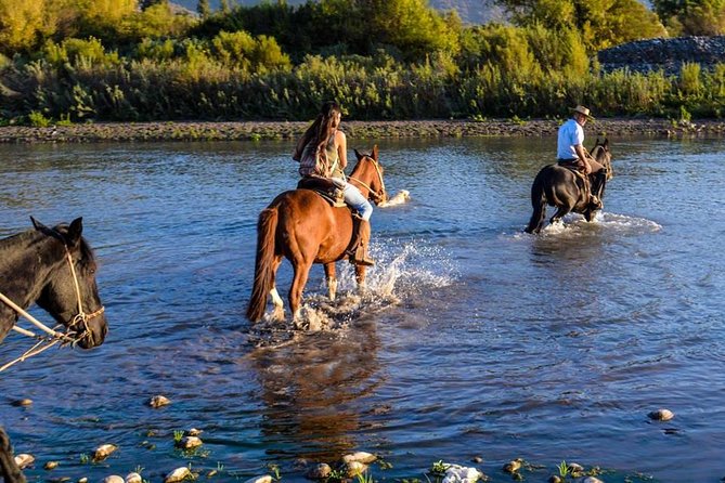 Horseback Private Wine Tour and Country Grill From Santiago - Booking and Policy Information