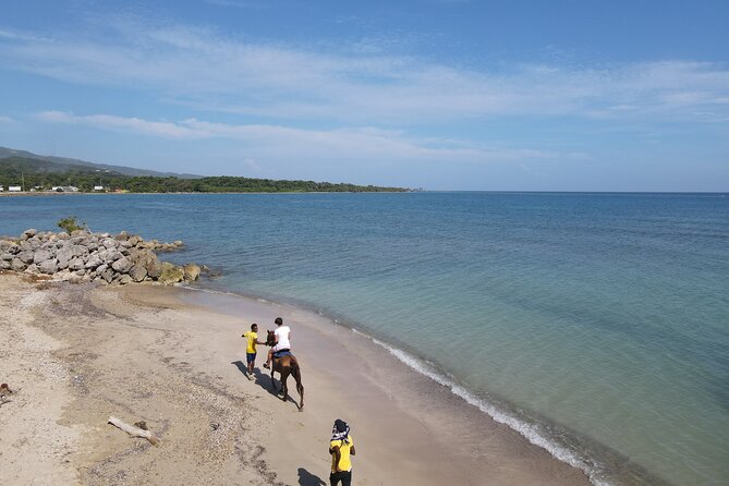 Horseback Ride and Swim in Ocho Rios With Transportation - Booking Details