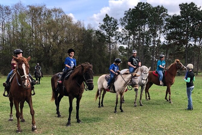Horseback Ride on Scenic Lake Louisa Trails - Activity Details