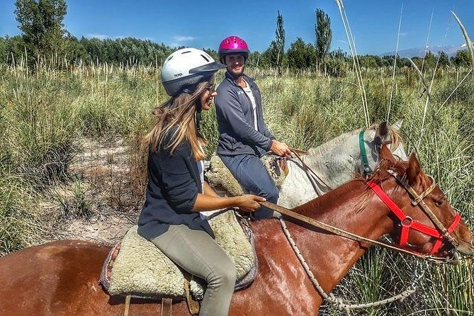 Horseback Ride Through Vineyards Followed by Gourmet Lunch - Experience Details