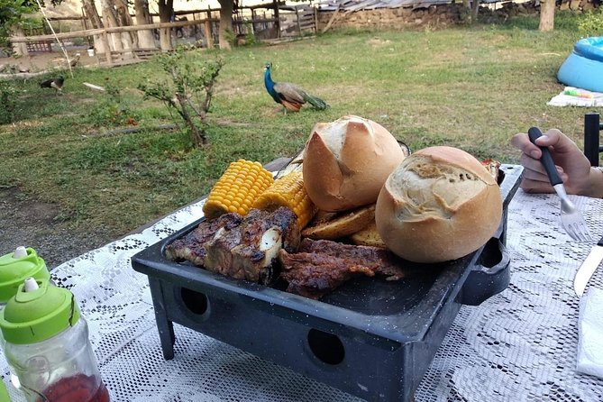  Horseback Riding and Roast in the Mountains of Mendoza - Overview of Horseback Riding Experience
