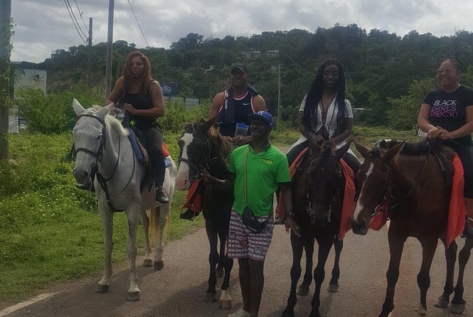 Horseback Riding From Runaway Bay - Tour Details