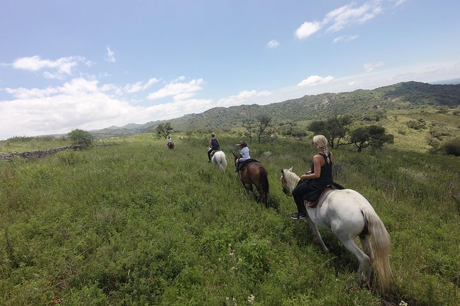 Horseback Riding Through the Sierras - Choosing the Right Horse for Your Ride