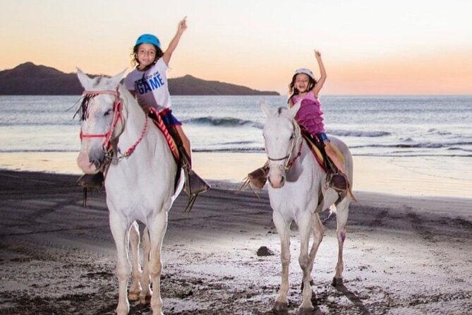 Horseback Riding to Conchal Beach - Pricing and Booking