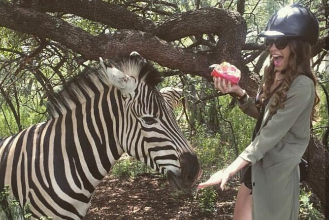 Horseback Safari - Safari Experience in the Magaliesburg Mountains