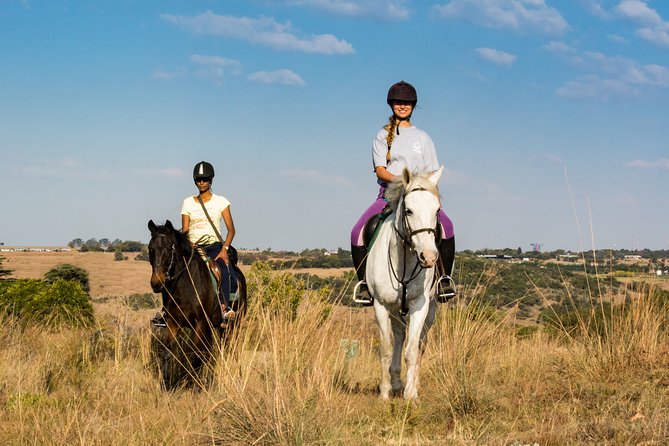 Horseback Small-Group Trail Rides in Muldersdrift - Pricing and Booking