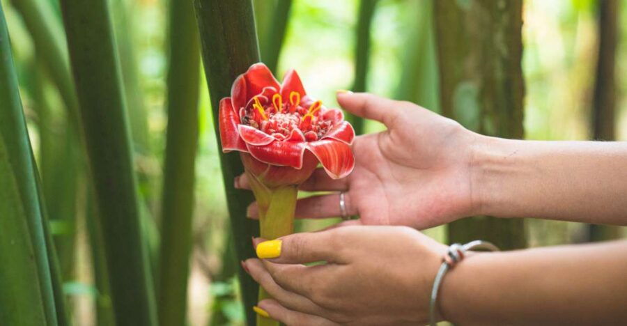 Huatulco: Nature Park With Fruit Tasting & Optional Zipline - Booking and Flexibility Options