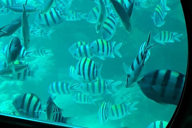 Hurghada: Dive Into the Red Sea With Submarine Exploration - Tour Details