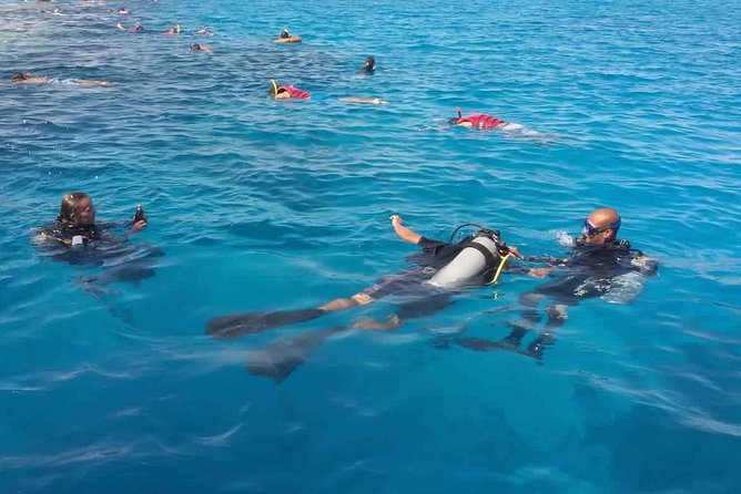 Hurghada Dolphin House and Banana Boat Fun With Snorkeling Time With Lunch Inc - Activity Overview